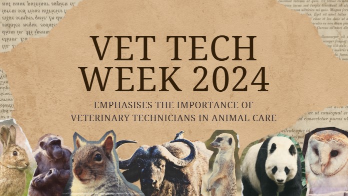 Vet Tech Week 2024